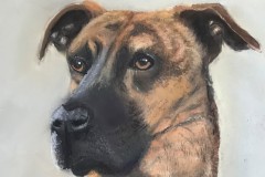 Great Dane, Pastel