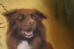 Australian Kelpie, Pastel