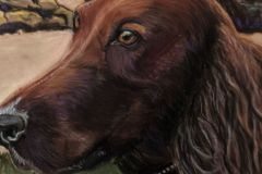 Red Setter, Pastel