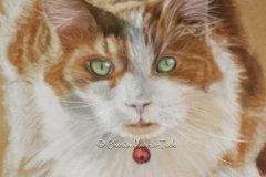 Calico Cat in Pastel
