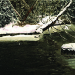 Forest, stream, winter