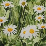 daisies, summer, wreath, ring, grass, July