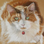 Cat, pastel, portrait, Doll Mop, painting, commission, commemorative, gift, velour