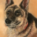 dog, German Shepherd, pastel, portrait, painting, commission, commemorative, painting, velour