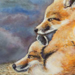 fox kits