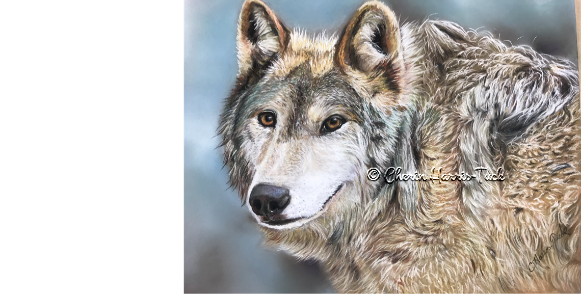Custom Pet Portraits