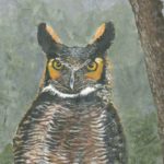great horned owl, night bird, bird of prey